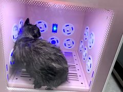 -贝康宠物医院·犬猫全科·小动物特色诊疗中心(东环路店)