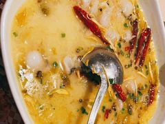 -避风塘(嘉兴八佰伴店)