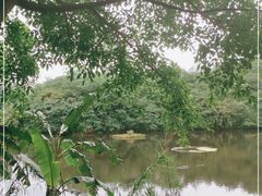 -重庆彩云湖湿地公园