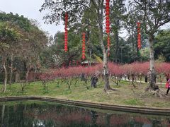 -桃花涧