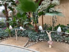 -南宫五洲植物乐园