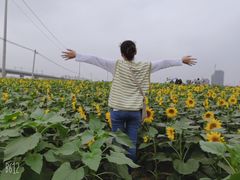 -临平南高铁站(地铁站)