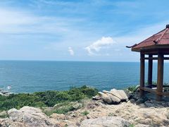 -广东惠东海龟国家级自然保护区