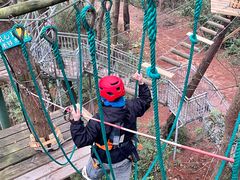 -芦仙山景区-飞越丛林探险乐园