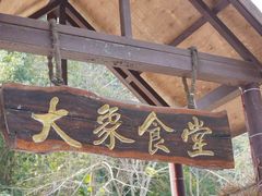 -野象谷景区