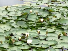 -贵阳市花溪国家城市湿地公园