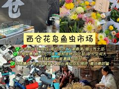 -西北轻工批发市场