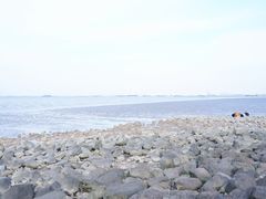 -上海吴淞炮台湾国家湿地公园