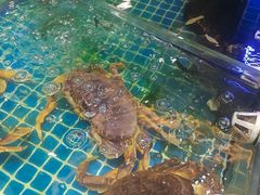 -大众海鲜(巨龙北路店)