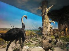 -国家自然博物馆