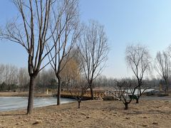 -东郊湿地公园