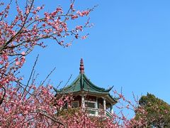 -无锡梅园公园