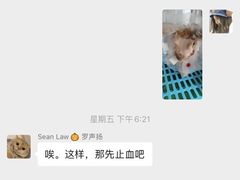 -爱诺耐芙动物医院(万博店)