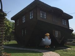 -金山农民画村-枫泾波兰倒置屋