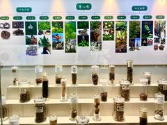 -广东中医药博物馆