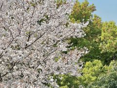 -IKEA宜家家居(南京商场)