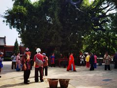 -大槐树寻根祭祖园