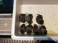 -徽三说·土徽菜·中国徽菜连锁品牌(一中店)