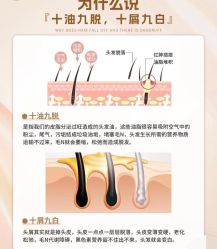 -Bollins波林丝•专研护发中心