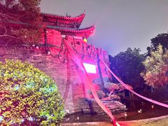 -武汉园博园(武汉自然博物馆)