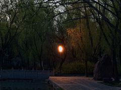 -洛阳市隋唐城遗址植物园