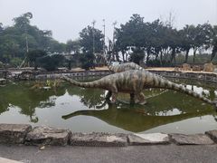 -自贡恐龙博物馆