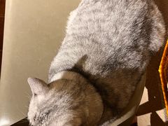 -H立方实景剧情密室(天河旗舰店)