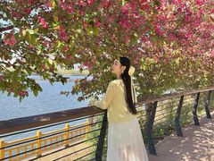 -长白岛森林公园