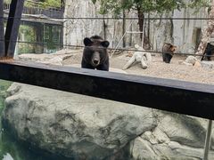 -灵玲国际马戏城