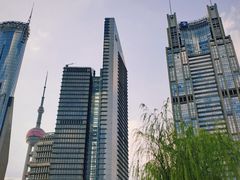 -陆家嘴中心绿地