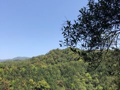 -九龙江国家森林公园