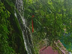 -仙岛湖旅游风景区
