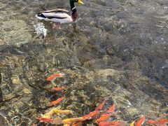 -水磨沟公园
