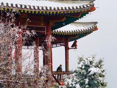 -香山公园