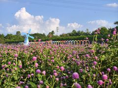 -盈香心动乐园