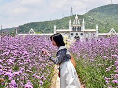 -玫瑰海岸文化旅游度假区
