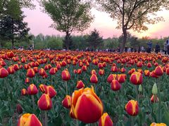 -长春公园(普阳街道)