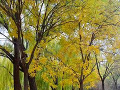 -南翠屏公园