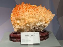 -湖南省地质博物馆