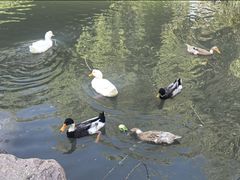 -J Create城市露营咖啡·简餐·宠物(上海动物园店)