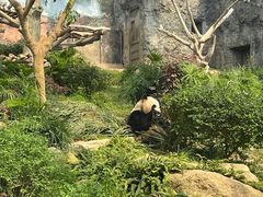 -石排湾郊野公园