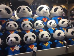 -熊猫屋(宽窄巷子景区店)