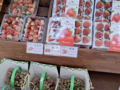 -金稼园·金平湖农家菜