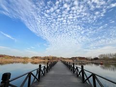 -溱湖国家湿地公园