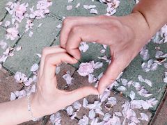 -洛阳市隋唐城遗址植物园