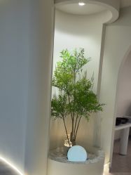 -VE专注问题肌·赛诺龙&科学美肤中心