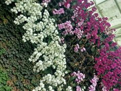 -石家庄市植物园