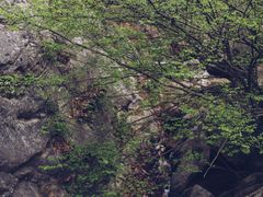 -太平万花山景区