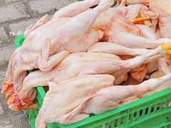 -西北农副产品中心批发市场(广安路店)