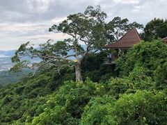 -三亚亚龙湾人间天堂鸟巢度假村